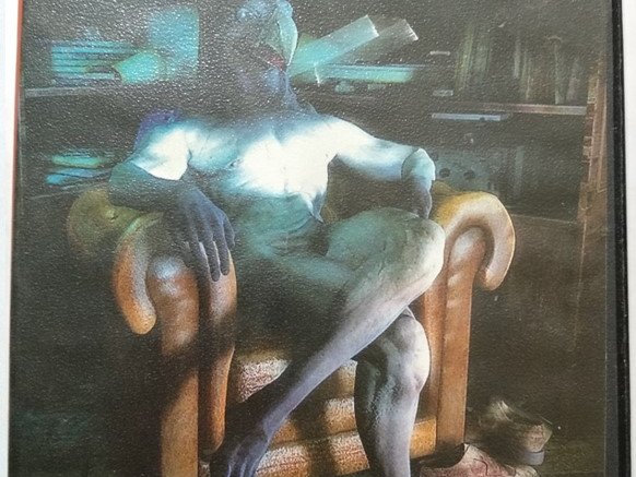 Игровой диск Большое приключение том 9. PCDVD - 1/1