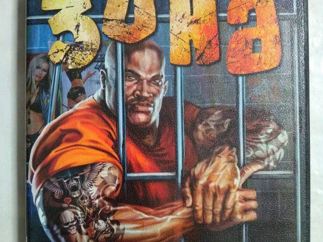 Игровой диск Зона. Заключение строго режима - 1/1