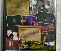 Игровой диск Fatal Frame 2, Turok Evolution (2в1) для PS2 - 2